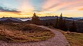 * Nomination Hochries, Chiemgau Alps, Germany --Poco a poco 16:37, 8 May 2025 (UTC) * Promotion  Support Good quality. --Benjism89 17:37, 8 May 2025 (UTC)