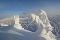 * Nomination Winter view from Otkliknoy ridge, Taganay national park, Chelyabinsk Oblast, Russia. By User:Kaa707 --Екатерина Борисова 01:38, 9 May 2025 (UTC) * Promotion  Support Good quality. --Plozessor 02:39, 9 May 2025 (UTC)