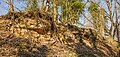 * Nomination Geological outcrop near Königsberg in Bayern --Plozessor 02:37, 9 May 2025 (UTC) * Promotion  Support Good quality. --Jakubhal 03:42, 9 May 2025 (UTC)