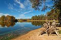 * Nomination Pustynskiye Lakes, Nizhny Novgorod Oblast, Russia. By User:Gorlanov --Екатерина Борисова 00:51, 8 May 2025 (UTC) * Promotion  Support Good quality. --Tagooty 01:01, 8 May 2025 (UTC)