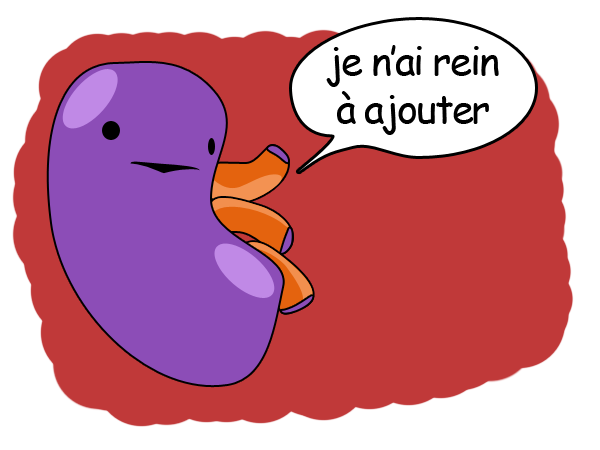 File:Rein à ajouter.png