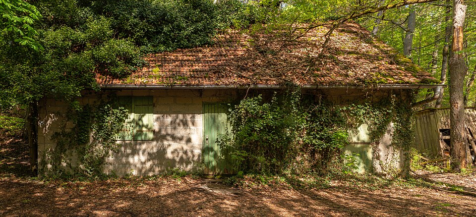 House in the forest on the Zeilberg near Maroldsweisach
