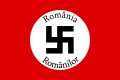 Flag of the Romanian Nazi Party