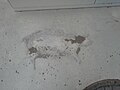 Death comes to us all; yes, even to cats he comes