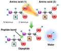 318 kB. Some path text has been removed. No symbols. Lots of gradients.