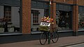 Flower shop promotion