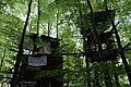 Dannenrod forest occupation in Hesse in October 2020