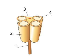 3 kB SVG conversion by TilmannR