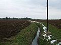 Thumbnail for version as of 07:18, 18 April 2022