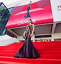 Cannes Film Festival