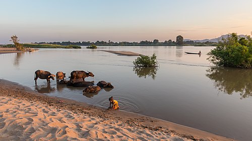 Don Puay river bank landscape at sunset