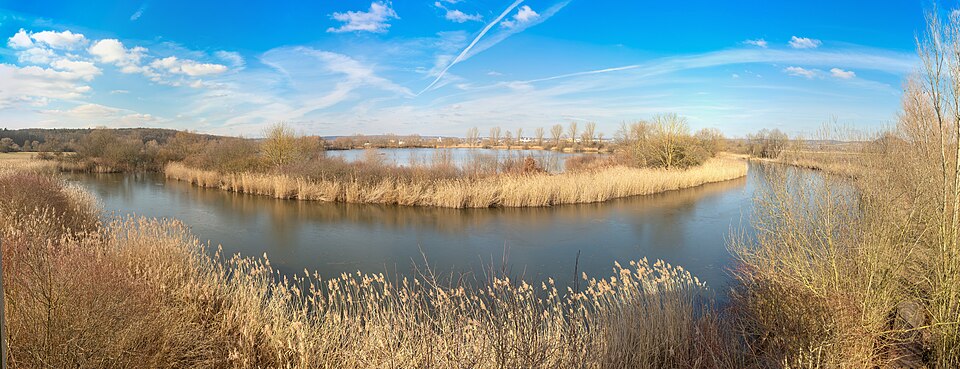 "Sickle lake" and "Great Wörth Lake" geotope near Augsfeld (Haßfurt)