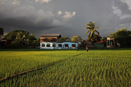 Grey clouds over the luminous paddy fields in Don Det