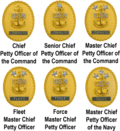 Full PNG sheet of chief petty officer badges