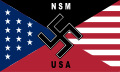 Flag of the National Socialist Movement (United States)