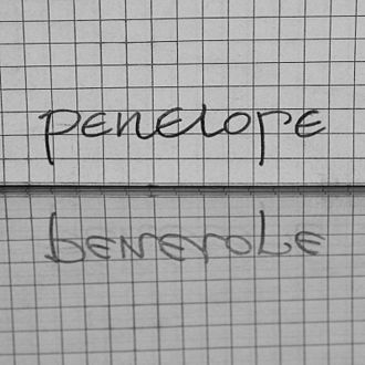 In French, Penelope / bénévole. This picture has become a meme on the web immediately after its posting, the 5th of February 2017. Shared dozens of thousands times on the social networks, it has also been mentioned in national medias of several countries.